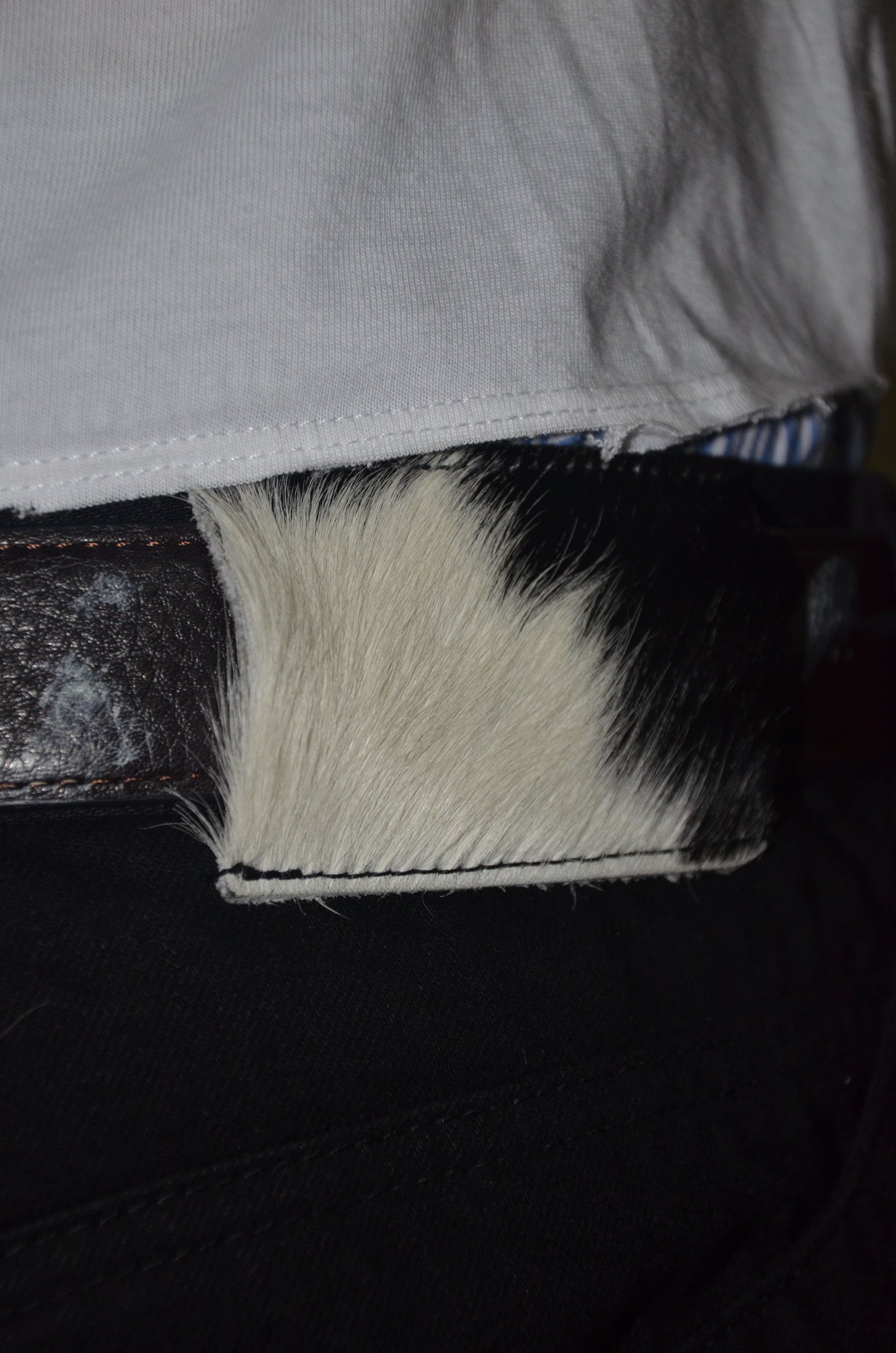 Jet Black Selvedge Denim